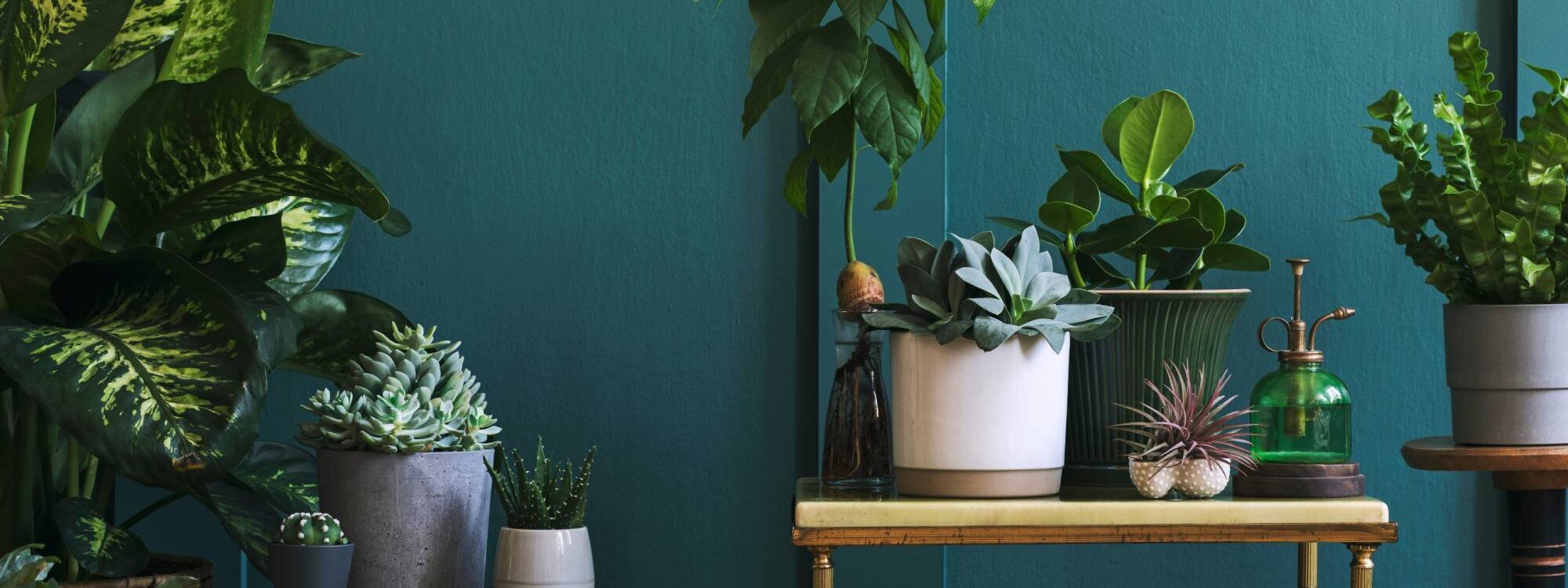 Comment bien choisir sa d&eacute;coration d&rsquo;int&eacute;rieur ? Kingersheim