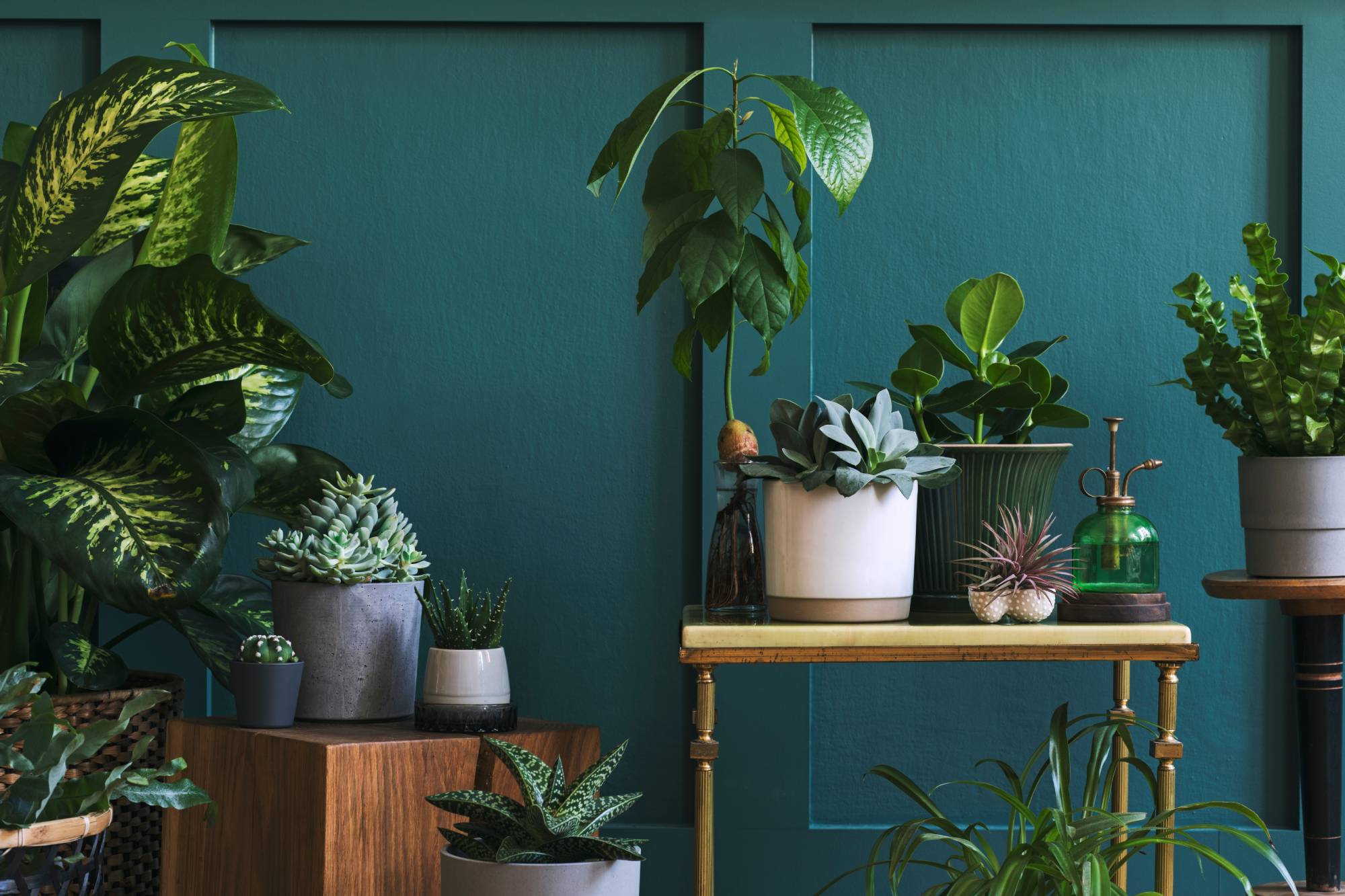 Comment bien choisir sa d&eacute;coration d&rsquo;int&eacute;rieur ? Kingersheim